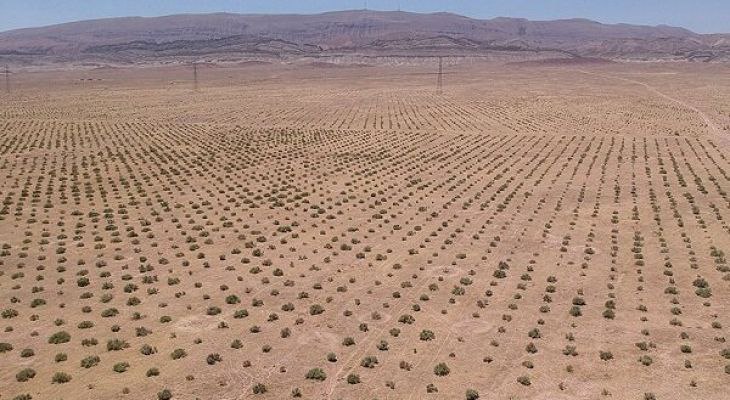 IMG_20250516_173128_156