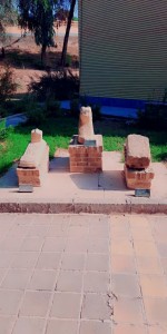 IMG_20251011_202436_752