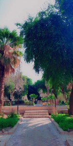 IMG_20251011_202439_271