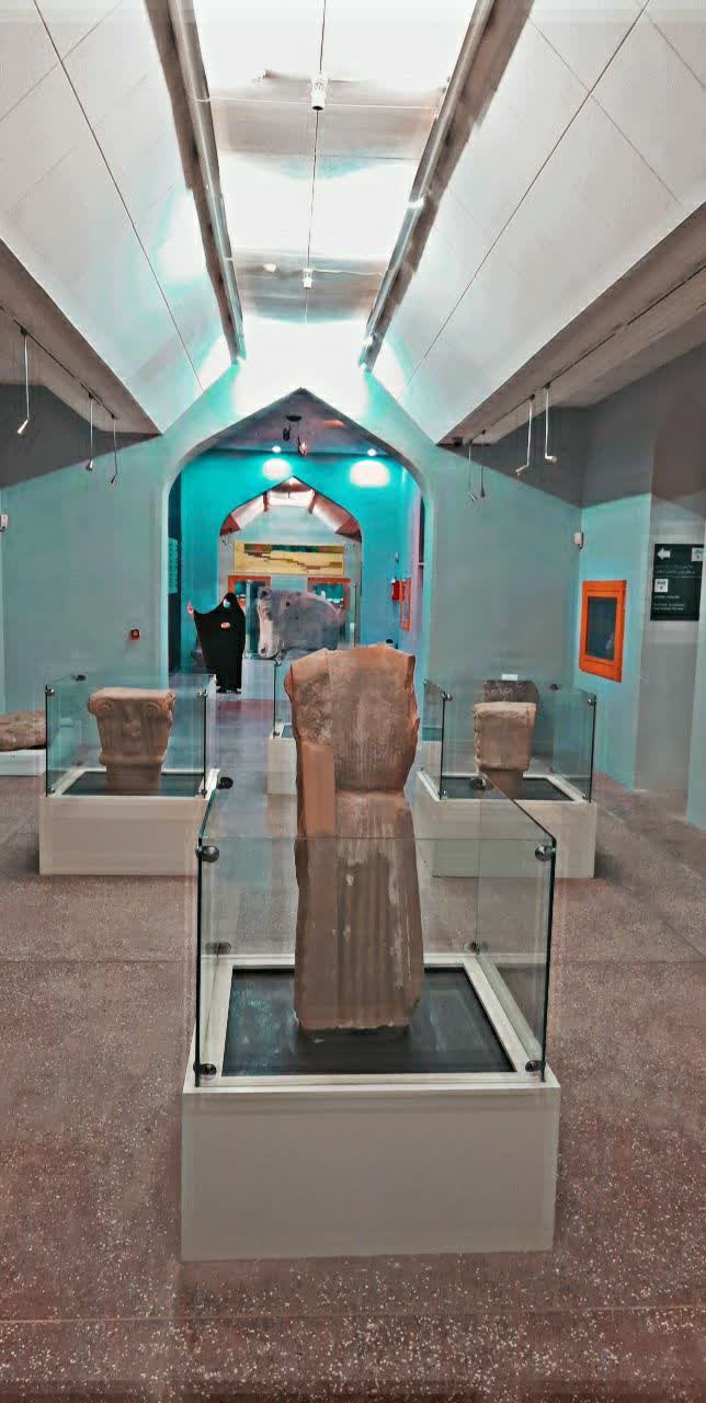 IMG_20251011_202450_720