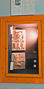 IMG_20251011_202454_266