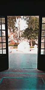 IMG_20251011_202501_553